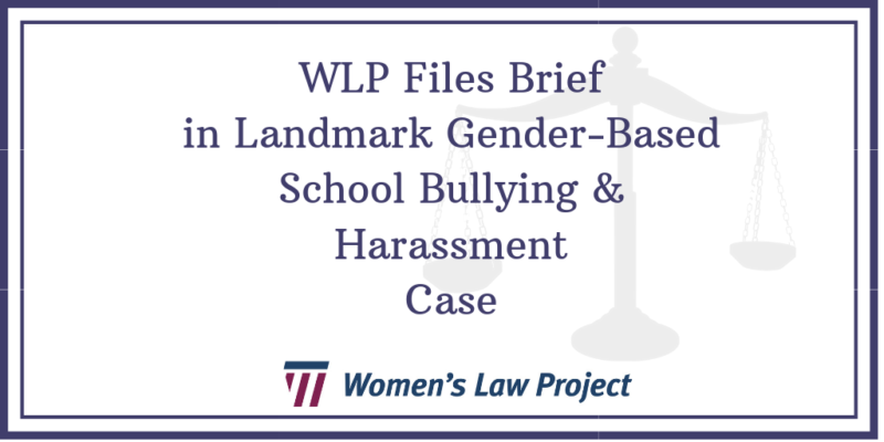 Wlp Files Brief In Landmark School Bullying And Harassment Case Womens