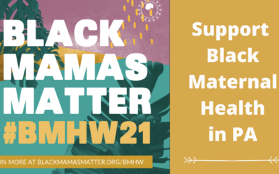 Pennsylvania’s Maternal Mortality Crisis is Severely Stratified by Race