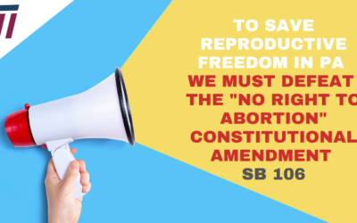 Get the Facts on the “No Right to Abortion” Constitutional Amendment SB106